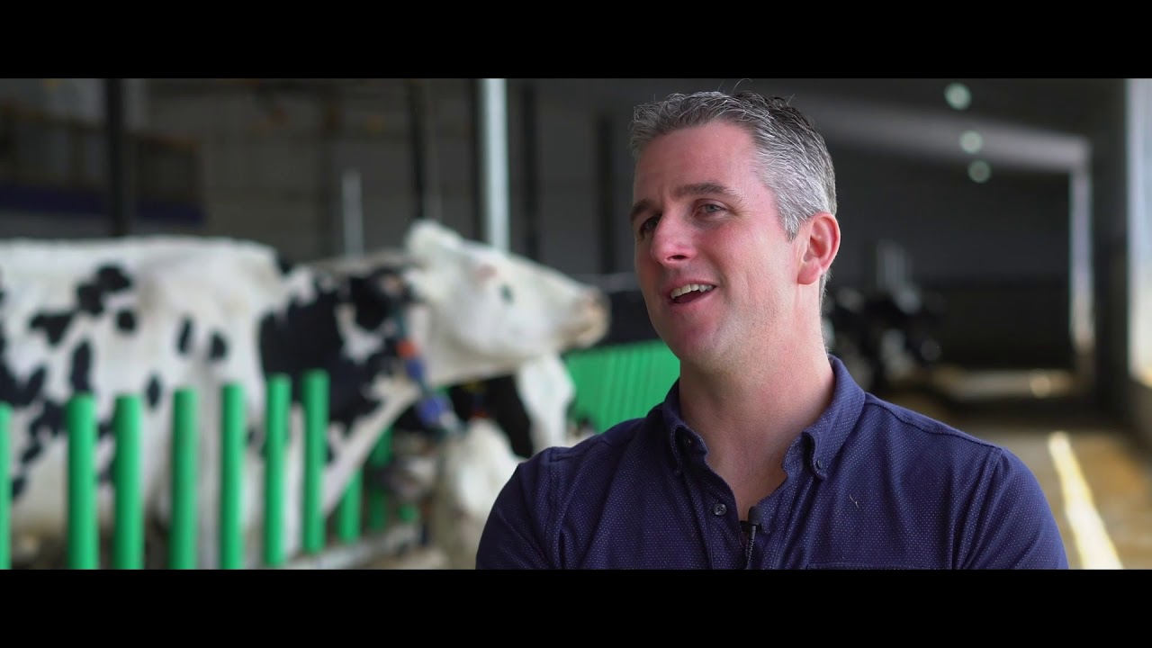 StLouisdeGonzague De tout pour tous les goûts YouTube