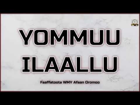 Nuyi Yommuu Ilaallu Gara Fannoo Isaa