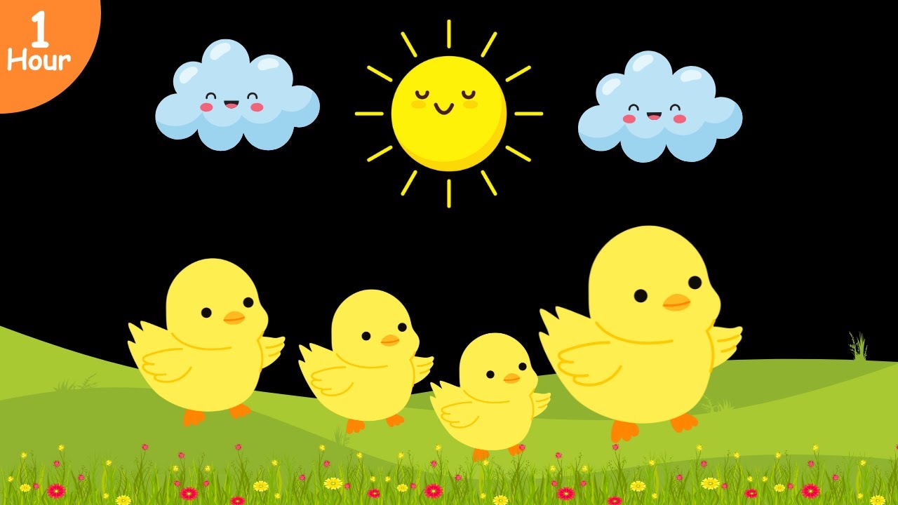 Cute Animal Babies - Baby Sensory Video  - High Contrast Visual Stimulation For Newborns 