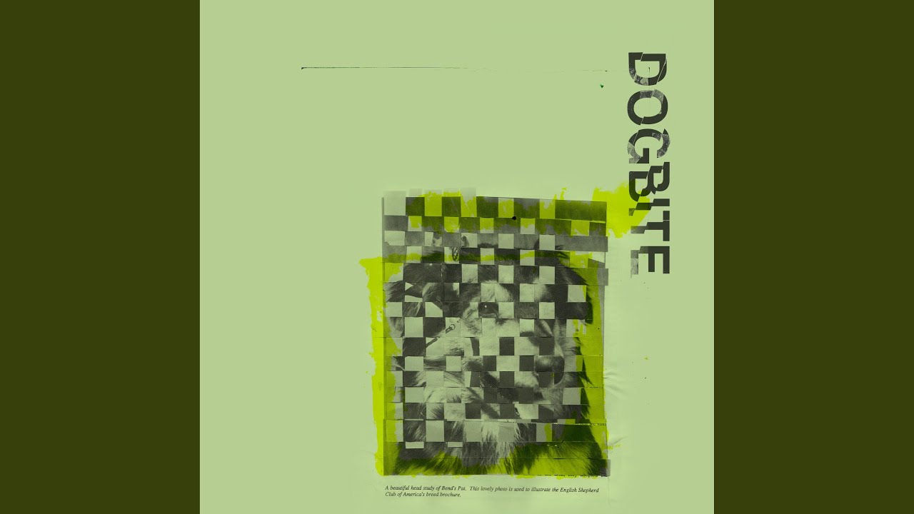 Watch Shape on YouTube Watch Shape on YouTube