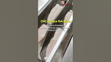 CNC Fish Slicer for Snakehead