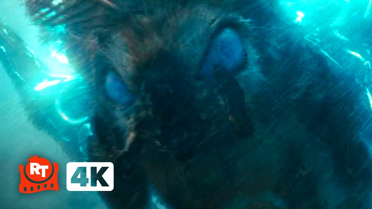 Godzilla: King of the Monsters (2019) 4K - Mothra Saves Godzilla (8/10) |  Movieclips