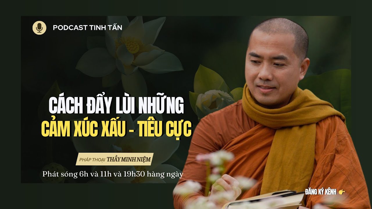 Cách Đẩy Lùi những Cảm Xúc Xấu - Tiêu Cực | Thầy Minh Niệm | Tinh Tấn