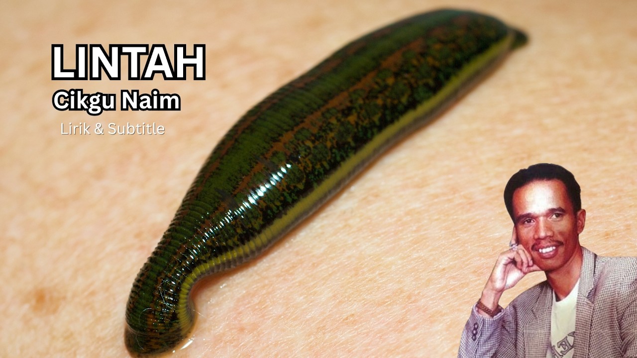 Watch Cikgu Naim - Lintah | Lirik & Subtitle on YouTube Watch Cikgu Naim - Lintah | Lirik & Subtitle on YouTube