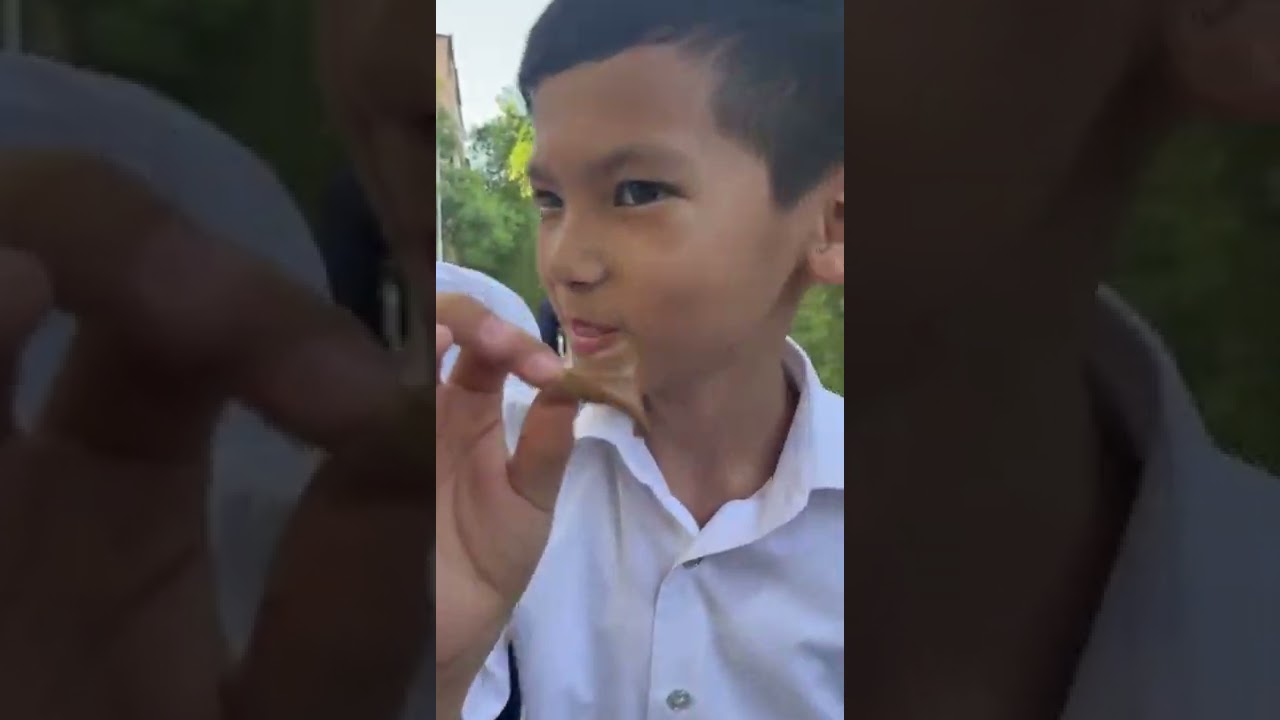 53 мектеп Тараз қаласы