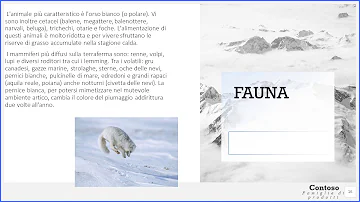 Che differenza c'è tra Artico e antartico?
