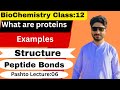 What are Proteins||Peptides Bonds|Amino Acids||Composition of Proteins #pashtolecture #biochemistry