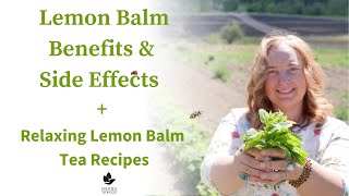 Lemon Balm Benefits and Side Effects + Relaxing Lemon Balm Tea Recipes