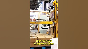 SINGLE COLUMN PALLETIZER