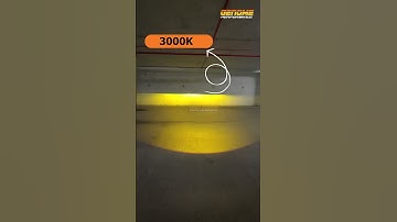 T80 TRIO Fog Light Projector | All Weather Triple Beam Output.