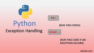 Celebrity Python for beginners:Mastering Python Exception Handling: Try and Except Explained Wealth