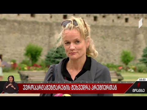 ევროპარლამენტარების შეხვედრა პრემიერთან