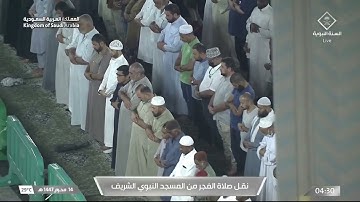 صلاة الفجر المسجد النبوي الشيخ خالد المهنا الأربعاء 14 محرم 1447هـ سورة النبأ.