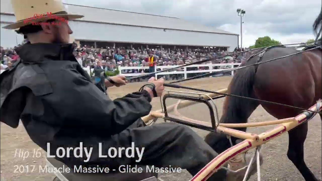 Hip 16 Lordy Lordy, 1.375 Million 2022 Mid Ohio Memorial Trotting