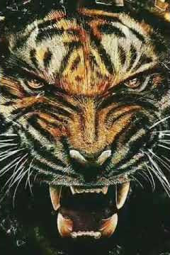 Story wa macan basa jawa