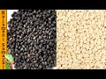 Black urad dal to white urad dal,உளுந்து தோல் நீக்குவது எப்படி? அட இவ்வளவு நாள் இது தெரியாம போச்சே!