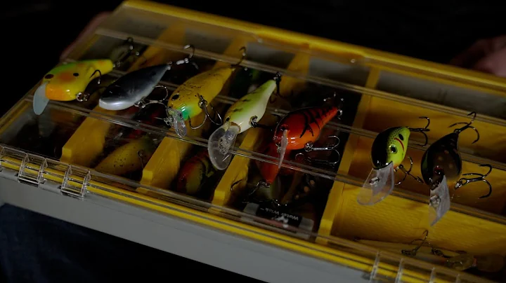 KVD's Complete Pre-Spawn Cranking Breakdown Part I: Crankbaits [NEXT LEVEL]