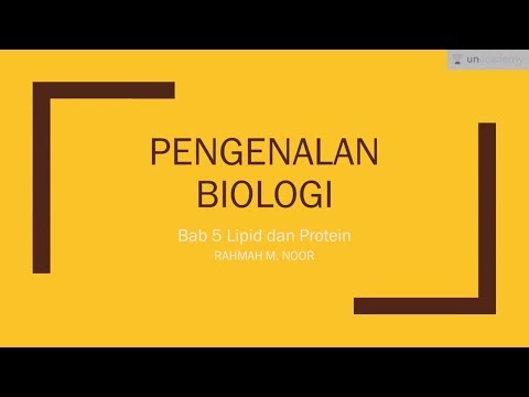 Video: Agregasi Protein Dan Modifikasi Lipid Membran Di Bawah Tekanan Asam Laktat Dalam Tipe Liar Dan OPI1 Menghapus Strain Saccharomyces Cerevisiae