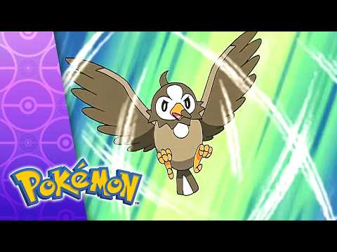 Two Degrees Of Separation! | POKÉMON FULL EPISODE 2 | Season 10