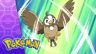 Two Degrees Of Separation! | POKÉMON FULL EPISODE 2 | Season 10