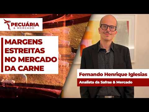 Frigoríficos encontram desafios para ajustar margens da carne no mercado interno