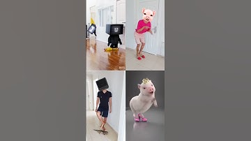 Con heo Đất - Con lợn biết nhảy - Con Heo Đi Hài Đỏ - Con Heo Tiktok #youtubeshorts