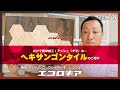 DIYで簡単施工！アッシュ（タモ）ヘキサンゴンタイルのご紹介