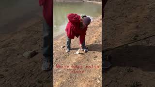 Catching the white bass run on nolin river @nolinlake @outdoors fishing