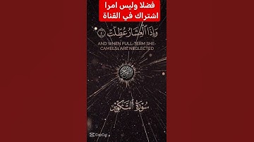 القرآن الكريم #دويتو #اكسبلور #duet #تيك_توك #فولو #لايك #راحة_نفسية #في #حالات_واتس #رمضانمبارك
