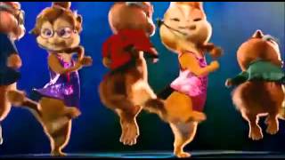funny cat dance