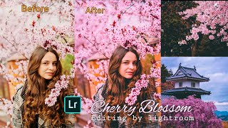 Cherry Blossom Preset By Lightroom | Lightroom Photo Editing Tutorial | Free Preset Download screenshot 5