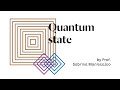 Discover: Quantum State