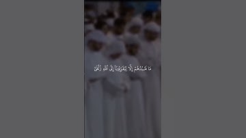 ﴿إنا أنزلنا إليك الكتاب بالحق فاعبد الله مخلصا له الدين﴾ بصوت #شيخ_أبوبكر_الشاطري #سورة_الزمر