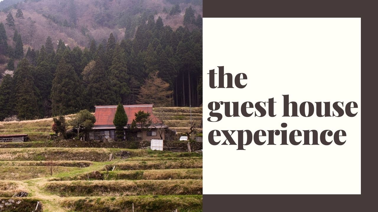 The guest house experience