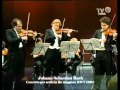 J. S. Bach - Concerto per archi in Re maggiore BWV 1064 - 2. Adagio