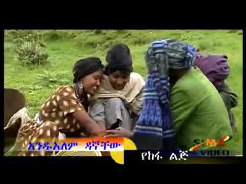 Andualem Dagnachew አንዷለም ዳኛቸው የከፋ ልጅ