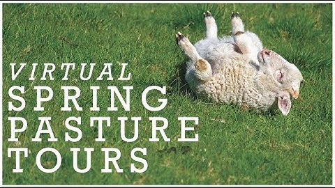 Virtual Spring Pasture Tours (Episode 3):  Optimize Grazing for Continuous Growth