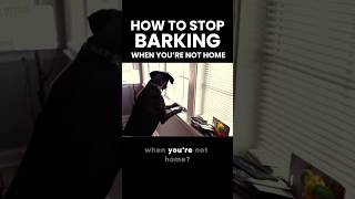 Does Your Dog Bark When You’re Not Home? 🙊