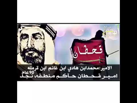 محمد بن هادي المدخلي الخوارج