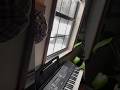 Snowed in the #beststudio #offthewall #trap #chevrolet #art #shorts #snow #reality #dramatized #akai