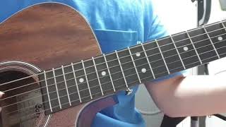 김밥 - 더 자두 (acoustic cover)
