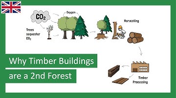 Timber Buildings: Our Second Forest | How Timber Buildings Store Carbon