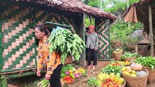 FULL VIDEO: A Young Woman and Her Grandma's Journey to Overcome Difficulty & Building a Bamboo House News
