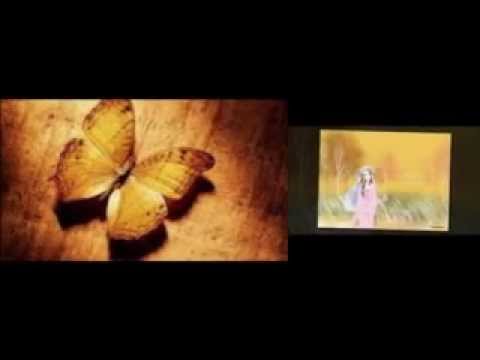Video Chiều hạ vàng - Thùy Dương - youtube