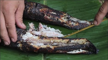 Về miền Tây “bắt cá nướng trui”