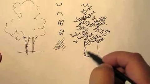 Mike Lin: How to draw trees with a pen