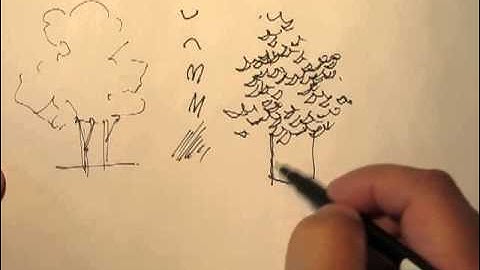 Mike Lin: How to draw trees with a pen