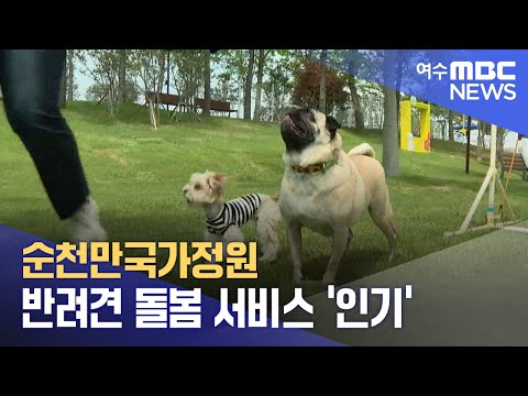 <strong>순천만국가정원</strong> 반려견 돌봄 서비스 &amp;#39;인기&amp;#39; (240618화/뉴스투데이)