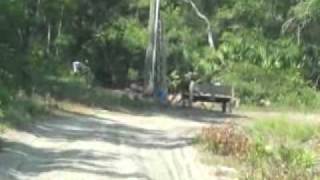 Gbr, entering the city of rosewood, florida on june 9th, 2011 and
joined up with mr. john robinson, his wife grandchildren to assist dr.
marvin dunn w...