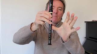 Knebworth Primary School - Recorder 1